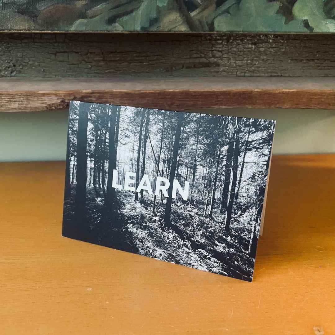 LEARN Card