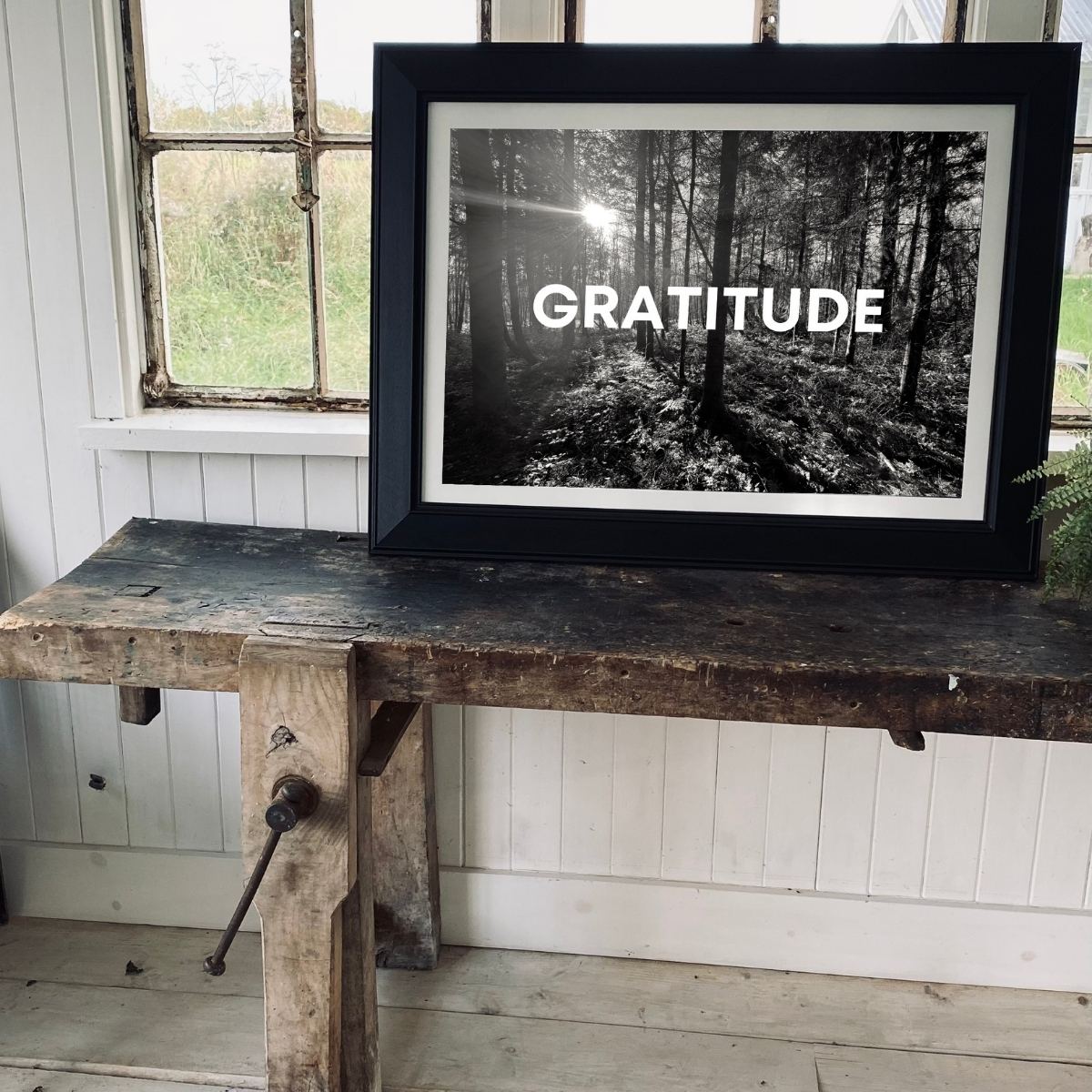 GRATITUDE Fine Art Print